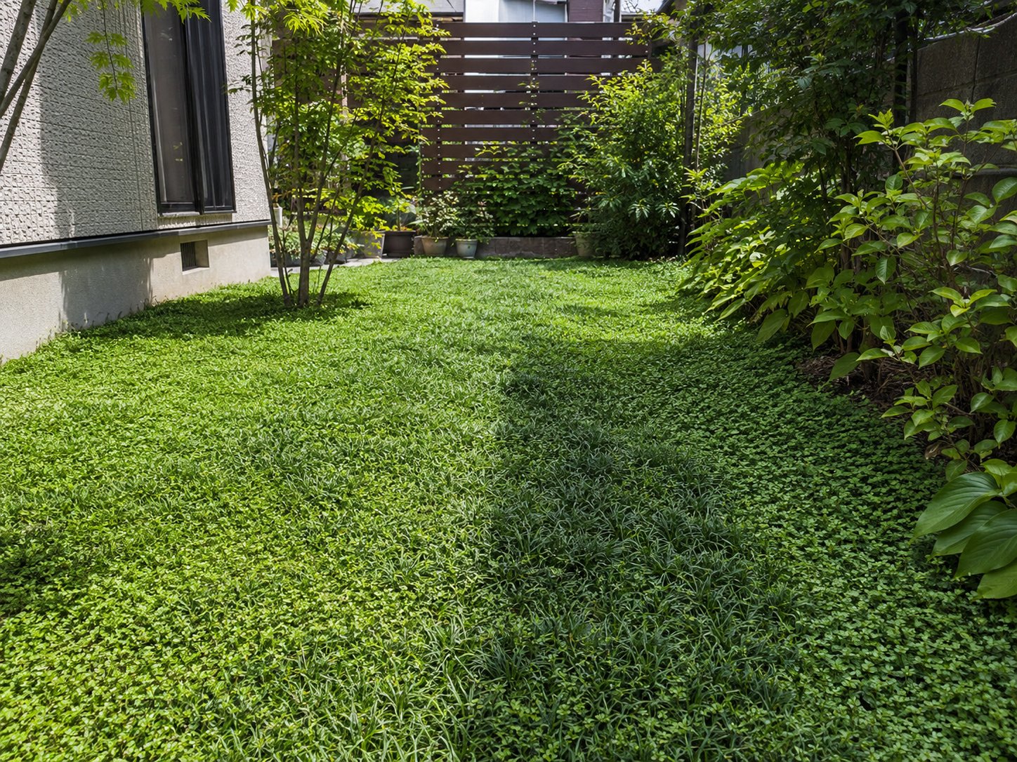 グランドカバー植物（クラピア・タマリュウ等）で地面を覆った雑草対策の庭（三重）